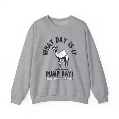 Solid American Muscle - Pump Day! Sweatshirt