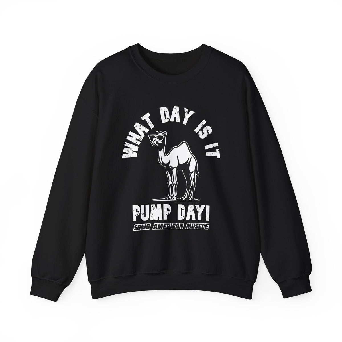 Solid American Muscle - Pump Day! Sweatshirt