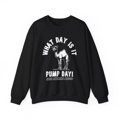 Solid American Muscle - Pump Day! Sweatshirt