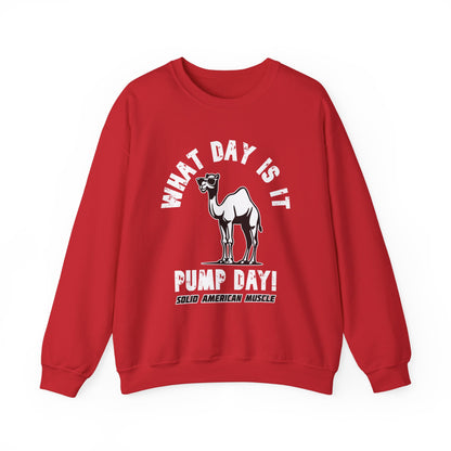 Solid American Muscle - Pump Day! Sweatshirt