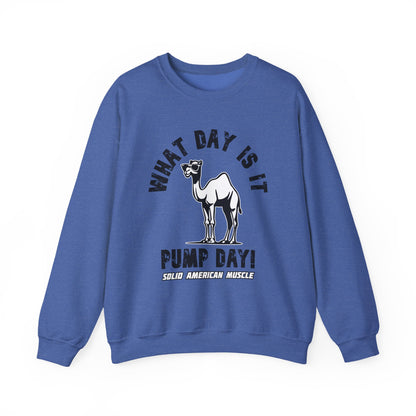 Solid American Muscle - Pump Day! Sweatshirt