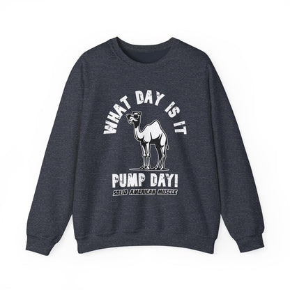 Solid American Muscle - Pump Day! Sweatshirt