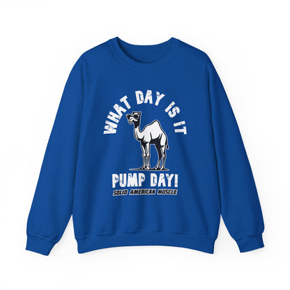 Solid American Muscle - Pump Day! Sweatshirt