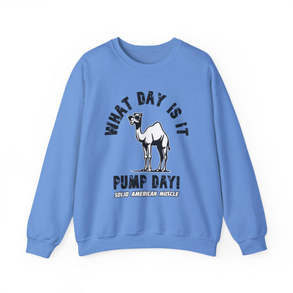 Solid American Muscle - Pump Day! Sweatshirt